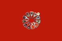 黄骅回收红酒